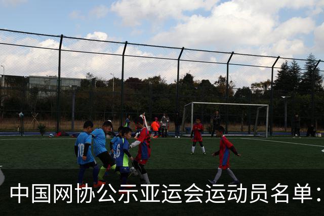 中国网协公示亚运会运动员名单：郑钦文张之臻均不参赛